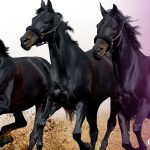 Los heraldos negros de la parálisis educativa