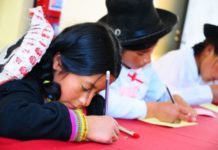 La apropiación del sistema de escritura desde la perspectiva psicogenética